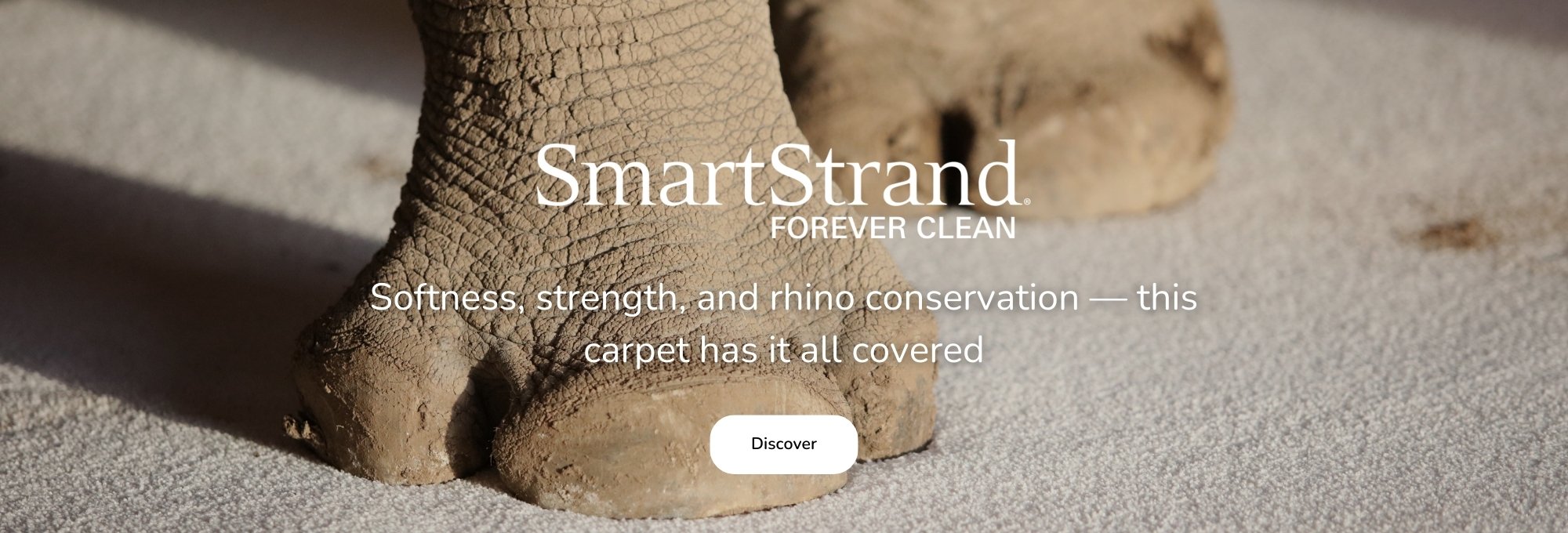 Shop SmartStrand Flooring